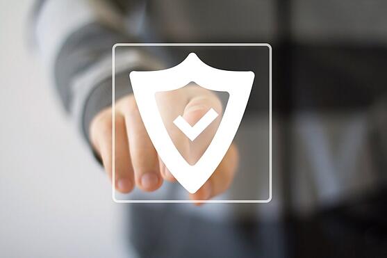 Lifelock2