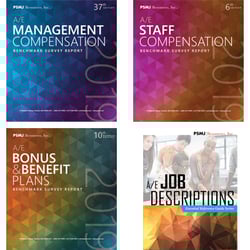2019 A/E HR Survey Report Bundle + Descriptions