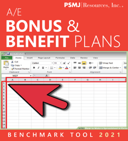 BONUS + BENEFITS_2021_SURVEY TOOL