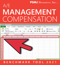 MANAGEMENT COMP_2021_SURVEY TOOL