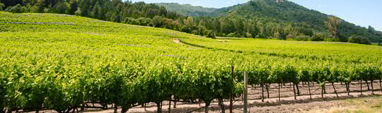 Sonoma-CA