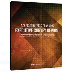 A/E/C Strategic Planning Executive Summary Report