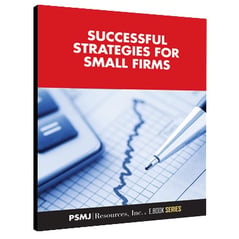Successful Strategies for Small Firms