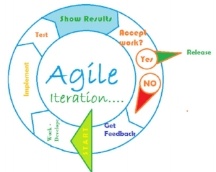 agile-development-project-management-176004-edited.jpg