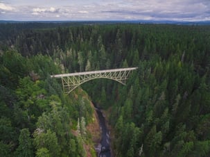 bridge and trees-2-951155-edited.jpg