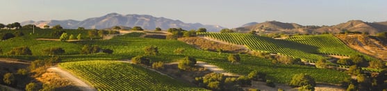 homejamesca-sonomacountyvineyards_crop